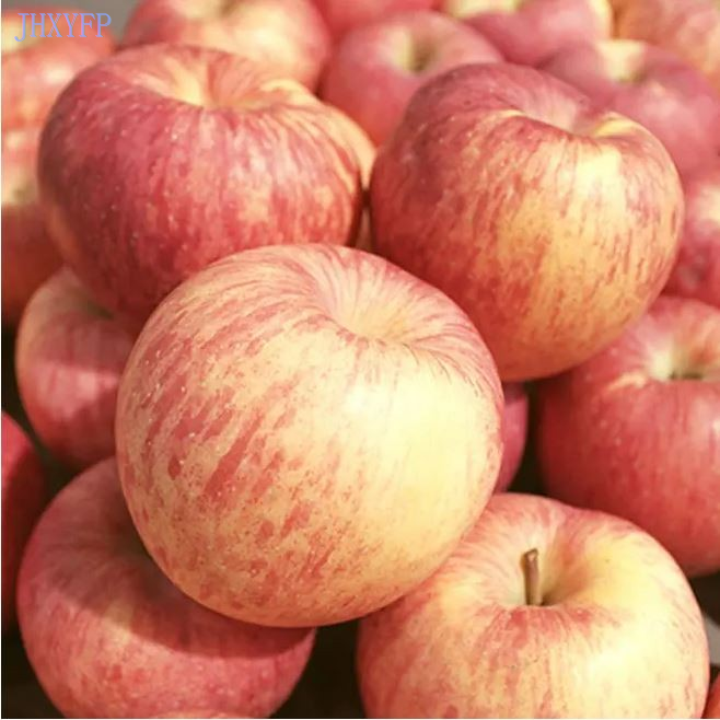 Crisp And Sweet Apples