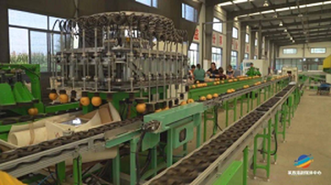 İlk Meyve Standardizasyonu Menşe Hizmet Forumu