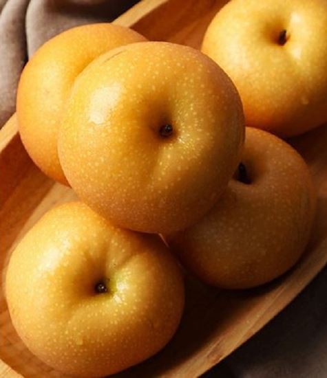 Armut Çeşitleri