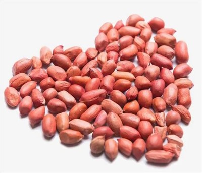 Taze Büyük Çiğ Fıstık